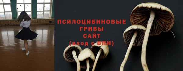 круглые Алексеевка